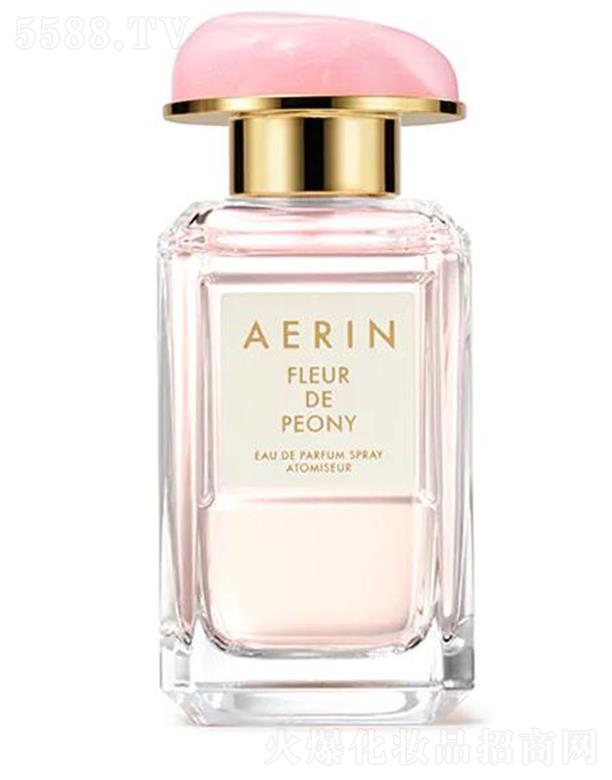 ��Ԋ(sh��)�m�죨�Ϻ������Q(m��o)���޹�˾��AERIN����ĵ��������� ��(gu��)ɫ���� һҊ(ji��n)�A��