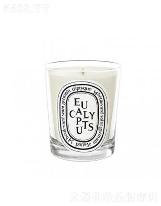 ���֣��Ϻ����Q(m��o)�����޹�˾��diptyque���Ϟ�T-�ȼ���