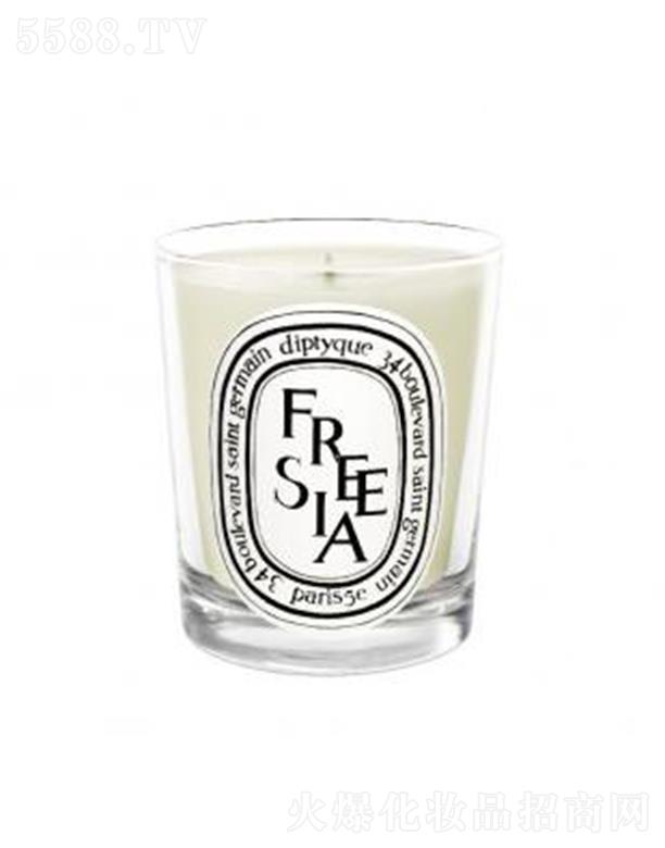 ���֣��Ϻ����Q(m��o)�����޹�˾��diptyque���Ϟ�T-С�n�m