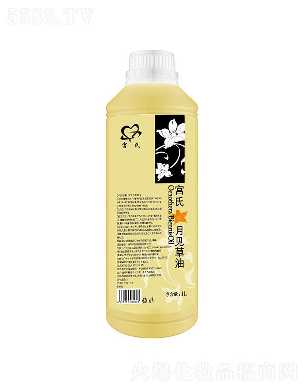 �V�݂�������Ƽ����޹�˾���m����Ҋ���� 1L