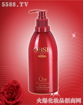 �W����Q10ϴ�oϵ��ϵ�ж�