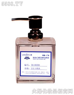 YB-00281����������