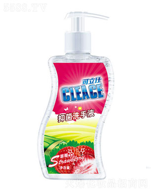 �����ˣ�CLEACE)ϴ��Һ��ݮ���500g