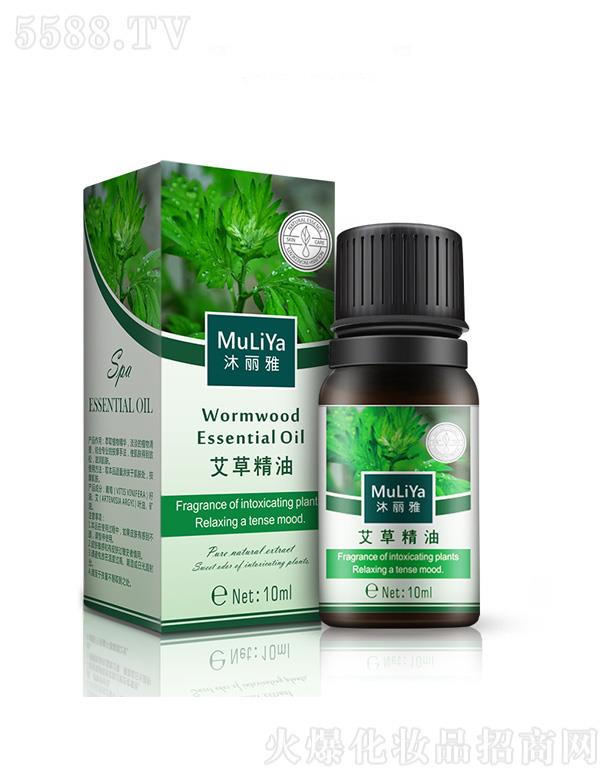 �����Ű��ݰ�Ħ����