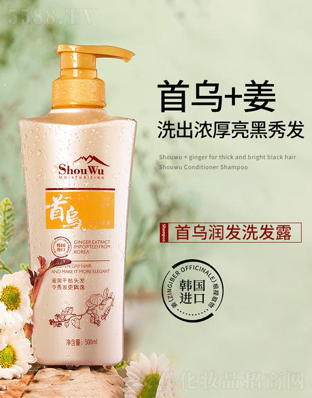 �מ����l(f��)ϴ�l(f��)¶