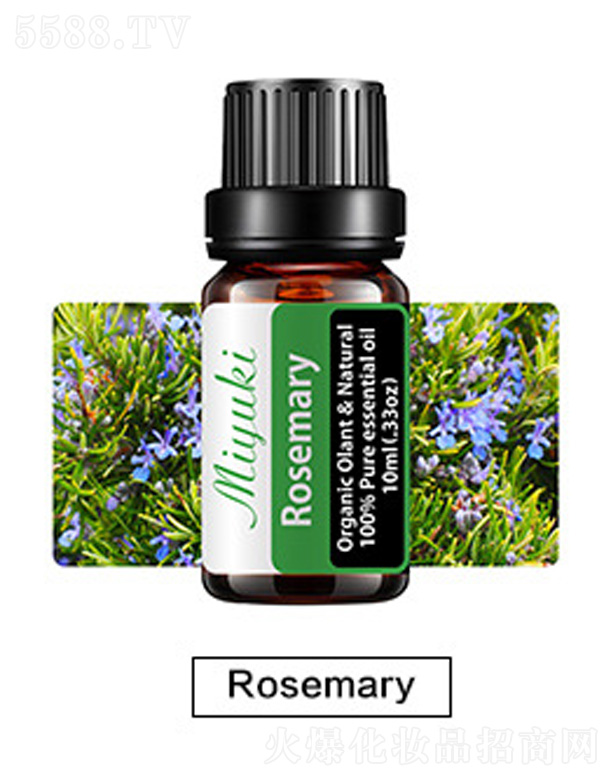 �o(h��)�w��޹��Ħ��-Rosemary�_˹����