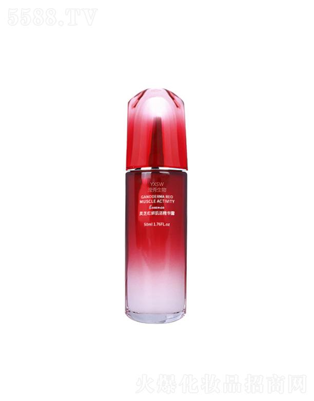 �V�ݞ]��   �]�������`֥���A¶   ��������