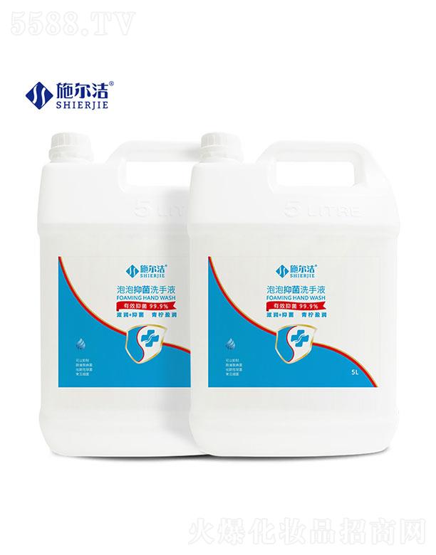 ʩ���������־�ϴ��Һ--5L