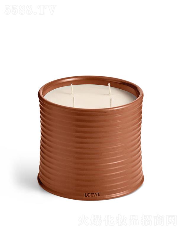 LOEWE��̖�������㾫Ϟ�T 100����