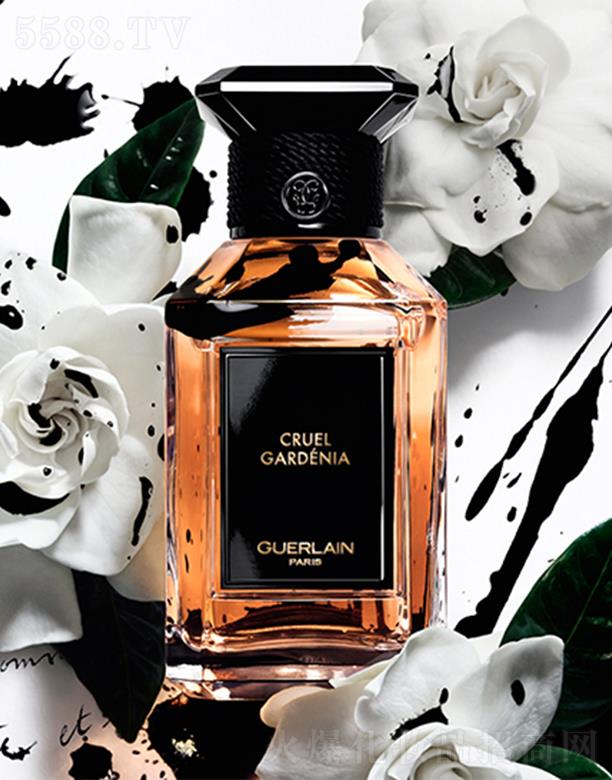 ���mˇ�g(sh��)ɳ��ϵ�� �d�ӻ���-���㾫 100ml�d�ӻ�����������