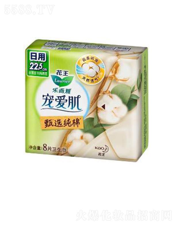 ��(l��)���Ō���(��i)�����x���޽z����22.5cm��8p��ס������ܛ