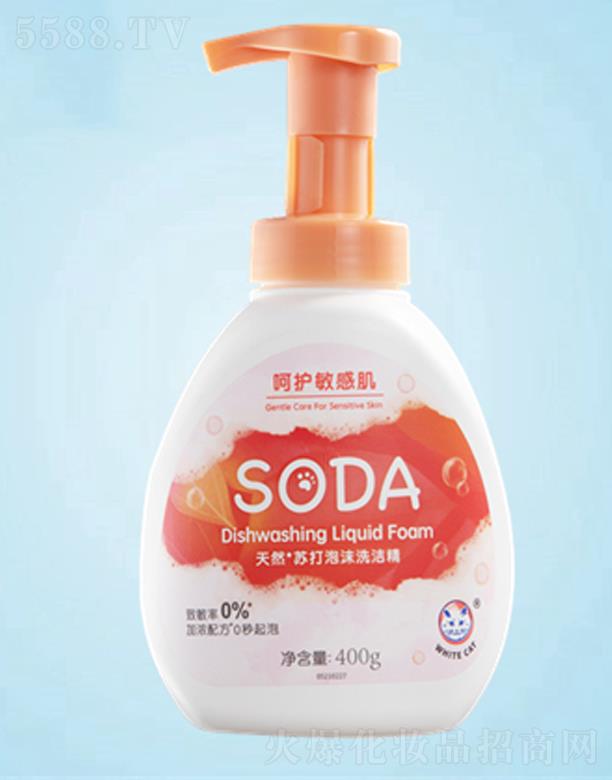 ����׿�(sh��)�I(y��)���޹�˾��soda�K����ĭϴ���� 400g