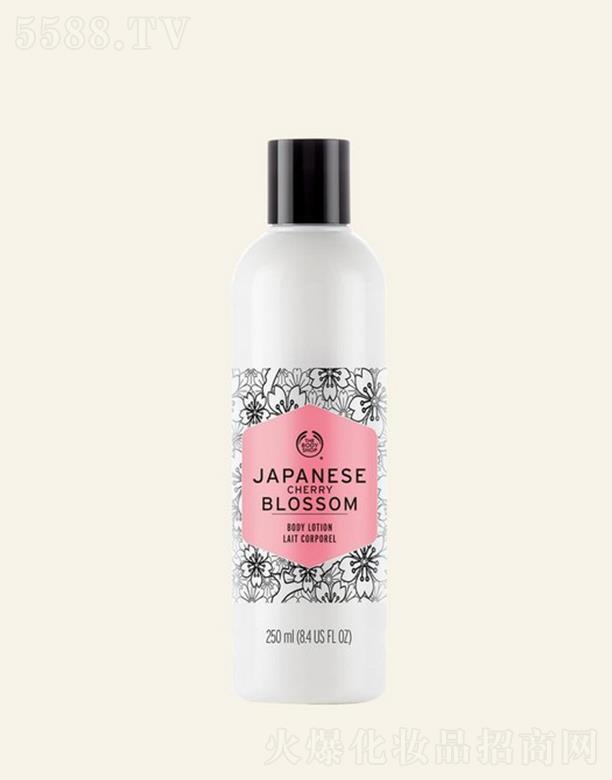 ���wС��ձ��ѻ����w¶ 250ml�o�r�o��ɢ�l(f��)���ѻ���