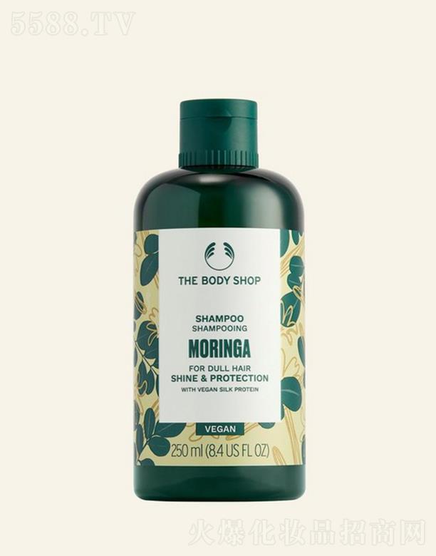 ���wС���ľ���o(h��)����ϴ�l(f��)¶ 250ml��l(f��)���l(f��)������ܛ혻�