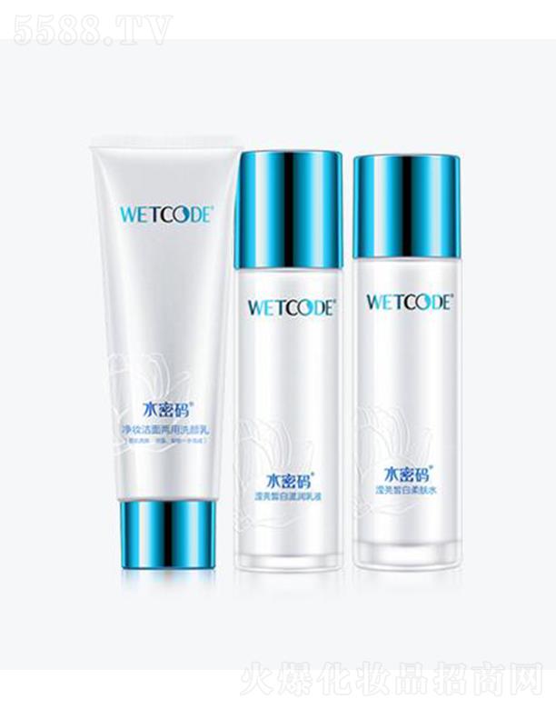 ˮ�ܴaѩ�͸�׶��������� ѩ�����w ����͸�� �̝�