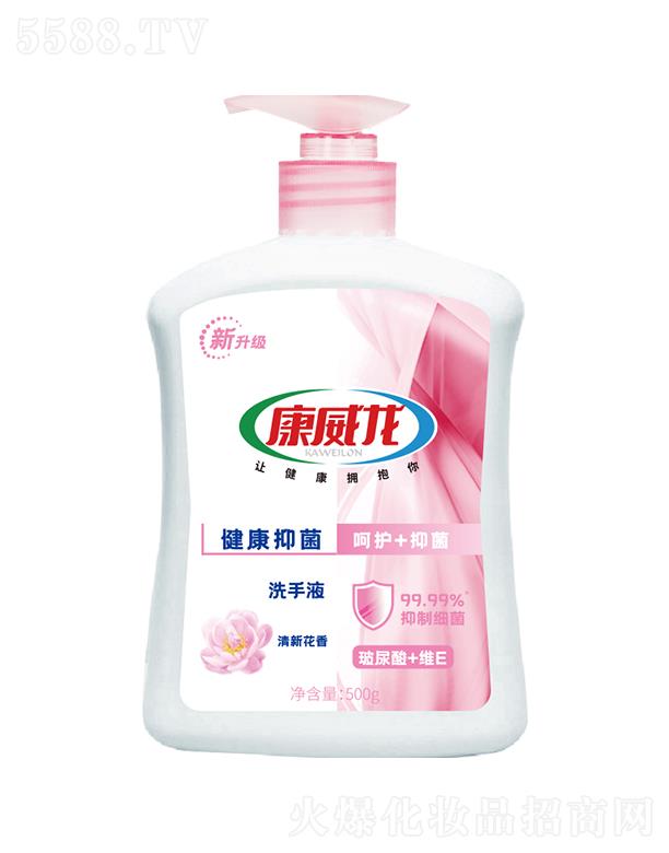 �����������־�ϴ��Һ�����㣩500g