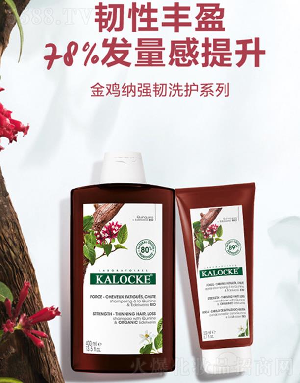 KALOCKE���u�{���gϴ�o(h��)ϵ��