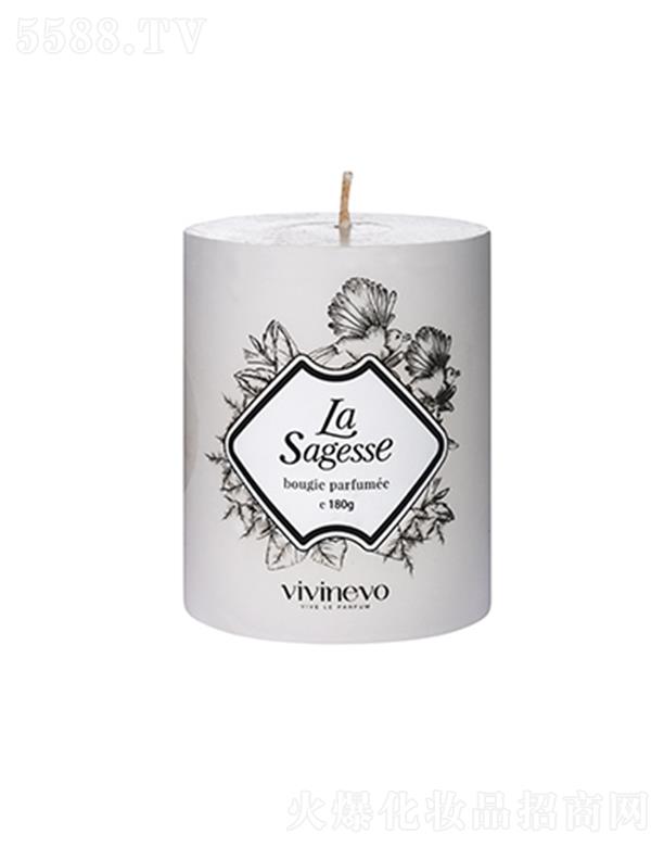 vivinevo��(j��ng)��������Ϟ�T