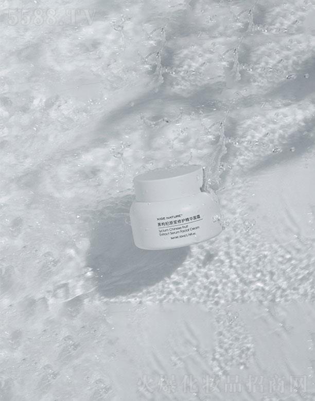 ��w�����ԭ�{���o(h��)���A��˪