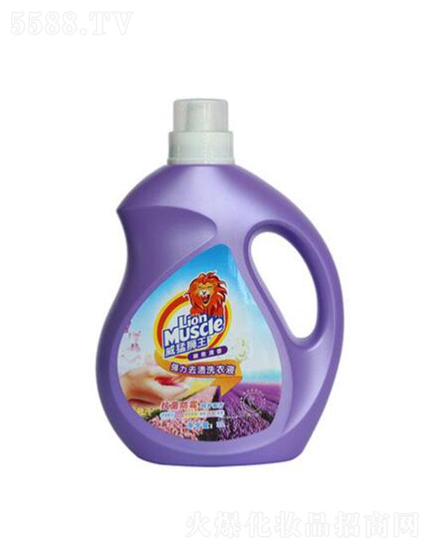 ���ͪ{����(qi��ng)��ȥ�nϴ��Һ���������㣩5L