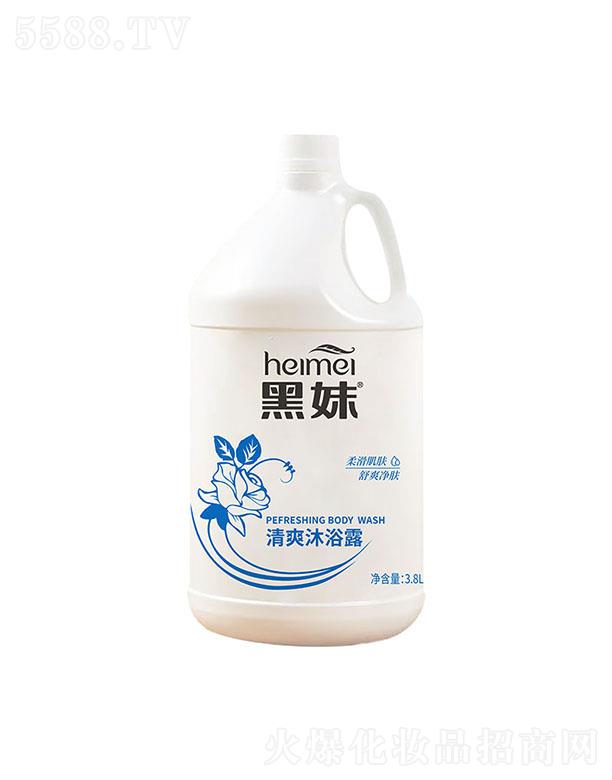 ������ˬ��ԡ¶ 3.8L