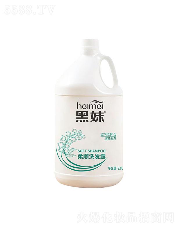 �������ϴ�l(f��)¶ 3.8L
