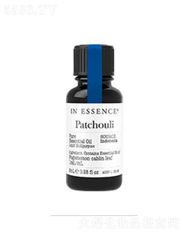 IN ESSENCE�V޽��η�����