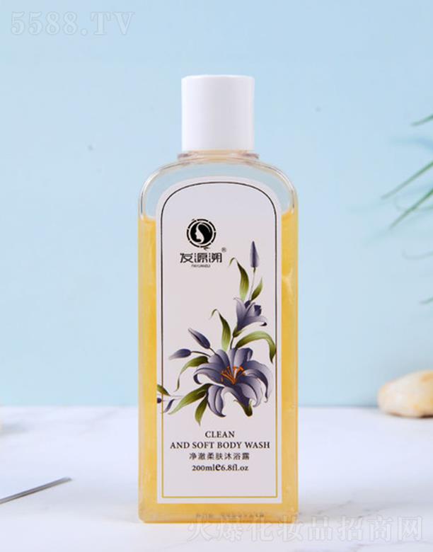 �l(f��)Դ�݃������w��ԡ¶