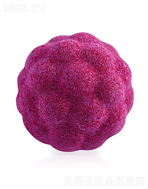 STENDERS�{���������ݏ�