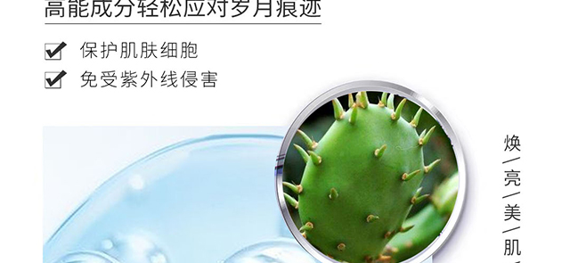 ������ޱ�����������o���A��