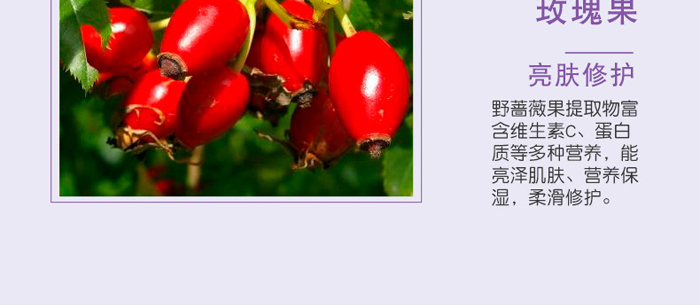 �S�c�ʗ�ѩɏ����͸�������_(k��i)17